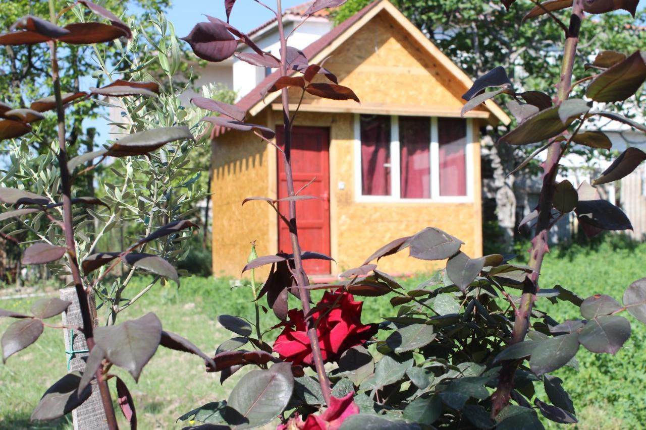 Elbasan Backpacker Hostel ภายนอก รูปภาพ